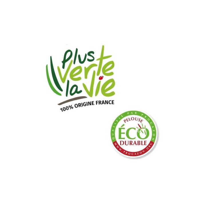copy of 